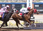 Geaux Dangerous becomes the first winner for New Mexico freshman sire Delhomme