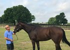 Classic Empire Works Toward Arkansas Derby Classic Empire Works Toward Arkansas Derby