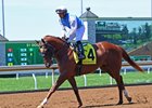 Wesley Ward trainee McErin on the track at Keeneland April 12