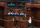 Hip 793, the record-setting Tiznow colt purchased by John Moynihan