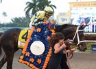 Always Dreaming wears the Florida Derby garland of flowers after winning by five lengths