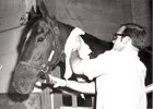 Look Back: Arkansas-Bred Nodouble Wins Arkansas Derby Look Back: Arkansas-Bred Nodouble Wins Arkansas Derby