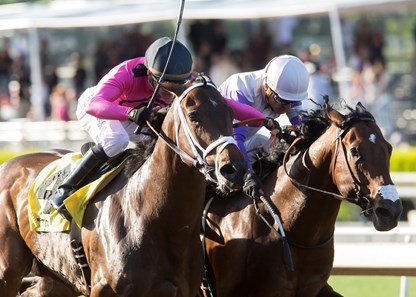 Mr. Hinx wins the 2017 Echo Eddie Stakes