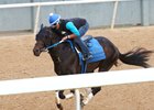 Untrapped, April 9 at Oaklawn Park