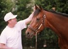 Trainer Lynn Whiting was an astute horseman beloved by many on the racetrack