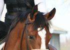 Grade 1 winner Time and Motion looms in the Eatontown Stakes at Monmouth Park