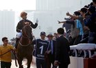 Hong Kong Champion Able Friend Retired Hong Kong Champion Able Friend Retired