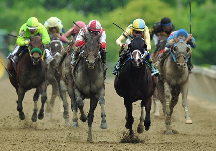 Cloud Computing - Horse Profile - Bloodhorse