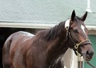 After a pair of defeats, McCraken will get a class break in the Matt Winn