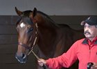 Distorted Humor Colt Sells for $850,000 Distorted Humor Colt Sells for $850,000