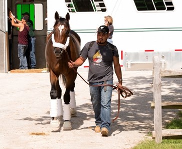 Lookin At Lee Arrives at Pimlico - May 16, 2017