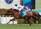 Contentment wins the Champions Mile