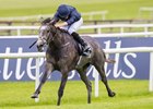 Galileo, Coolmore Dominate European Classics Galileo, Coolmore Dominate European Classics