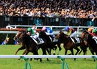 Rey de Oro wins the 2017 Japanese Derby