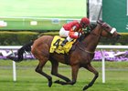Zhukova Heads Pretty Polly Stakes Zhukova Heads Pretty Polly Stakes