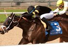 Casse Duo Set for Queen's Plate Run
