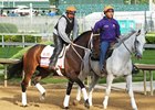 Miss Sky Warrior Returns to Training Miss Sky Warrior Returns to Training