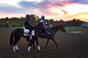 Always Dreaming goes out for his morning exercise with his exercise rider Nick Bush two days before the Preakness Stakes at Pimlico Race Course Thursday May 18, 2017 in Baltimore, Maryland.