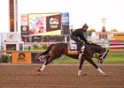 Always Dreaming Full of Energy in Pimlico Gallop Always Dreaming Full of Energy in Pimlico Gallop