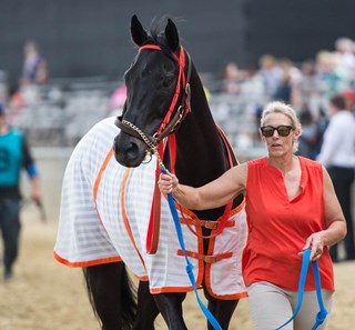 Ben's Cat before the Jim Mckay Turf Sprint