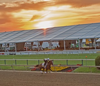 Sunrise at Pimlico