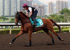 Trainer Moore Aims to Add to Champions Mile Success Trainer Moore Aims to Add to Champions Mile Success