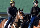 Three-time grade 2 winner Farrell worked a bullet half-mile Oct. 4 at Churchill Downs
