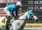 Arms Runner will try for a third win in as many starts in the Oceanside Stakes