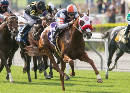 Marckie's Water wins the 2017 Snow Chief Stakes