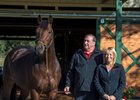 Treasure Beach at Pleasant Acres Stallions