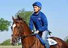 Fern Circle Stables' Senior Investment
