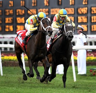La Coronel ridden by Florent Geroux , left duels to the win in the 33rd running of The Edgewood beating Dream Dancing with Julien Leparoux May 5, 2017 at Churchill Downs in Louisville, Kentucky.