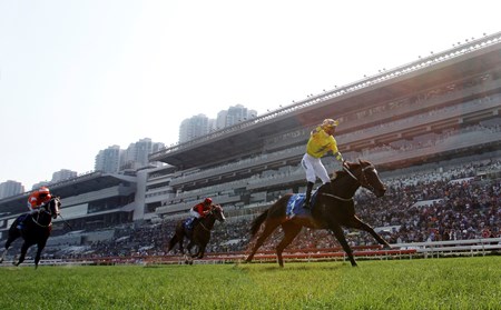 Werther (NZ) wins the 2017 Standard Chartered Champions and Chater Cup