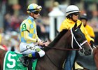 Classic Empire to Coolmore on Retirement Classic Empire to Coolmore on Retirement