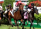 Divisidero Repeats in Woodford Reserve Divisidero Repeats in Woodford Reserve