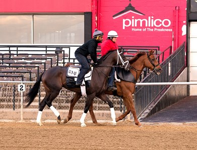 Always Dreaming - Pimlico, May 10, 2017