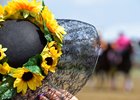 Preakness Ratings Down, but Best of May 20 Sports Preakness Ratings Down, but Best of May 20 Sports