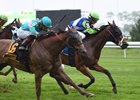 Hawksmoor wins the Beaugay Stakes over Dacita at Belmont Park