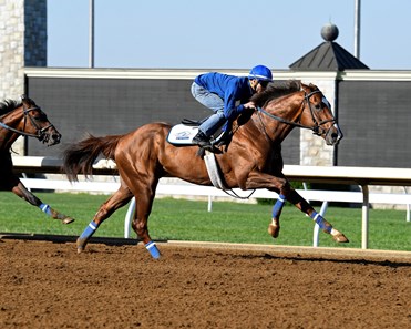 Senior Investment with Channing Hill and Multiplier with Brendan Walsh have their final works at Keeneland
May 14, 2017 Keeneland in Lexington, Kentucky.