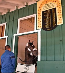 Always Dreaming Arrives at Pimlico Race Course