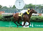 Some in Tieme wins the 2017 Louisville Handicap