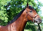 Battle of Midway was bred by Thor-Bred Stables and raised at Chesapeake Farm near Lexington
