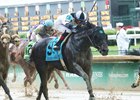 Limousine Liberal Seeks Second Straight Stakes Score Limousine Liberal Seeks Second Straight Stakes Score