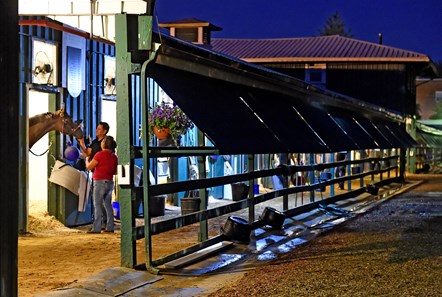 Always Dreaming gets some attention at 5:25 A.M. before he goes out for his morning exercise two days before the Preakness Stakes at Pimlico Race Course Thursday May 18, 2017 in Baltimore, Maryland.