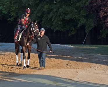 Norm Casse leads Classic Empire with Martin Rivera to the track.
Preakness contenders at Pimlico.
May 17, 2017