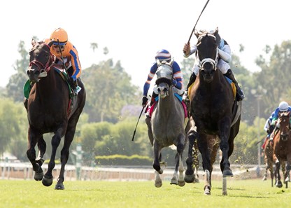 Illuminant wins the 2017 Monrovia Stakes