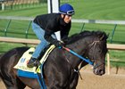 Untrapped Aims for First Stakes win in Ohio Derby