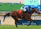 Starship Jubilee becomes the first graded stakes winner for Ohio-based sire Indy Wind