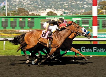 G. G. Ryder with jockey Irving Orozco win the All American (Grade III) $100,000 Guaranteed with a time of 1:37.48. Trained by Jerry Hollendorfer.
Photo Credit: Vassar Photography
Shane Micheli
Vassar Photography
