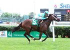 Sassy Little Lila flies home 2 1/2 lengths in front of Burma Road at Churchill May 20
